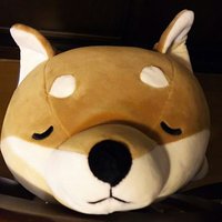 yuky (@yuky811) 's Twitter Profile