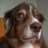 LetSlipTheDogsOfPeace (@climatehound) 's Twitter Profile
