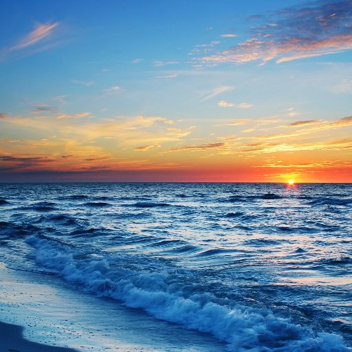 taninjackie1's profile picture. 