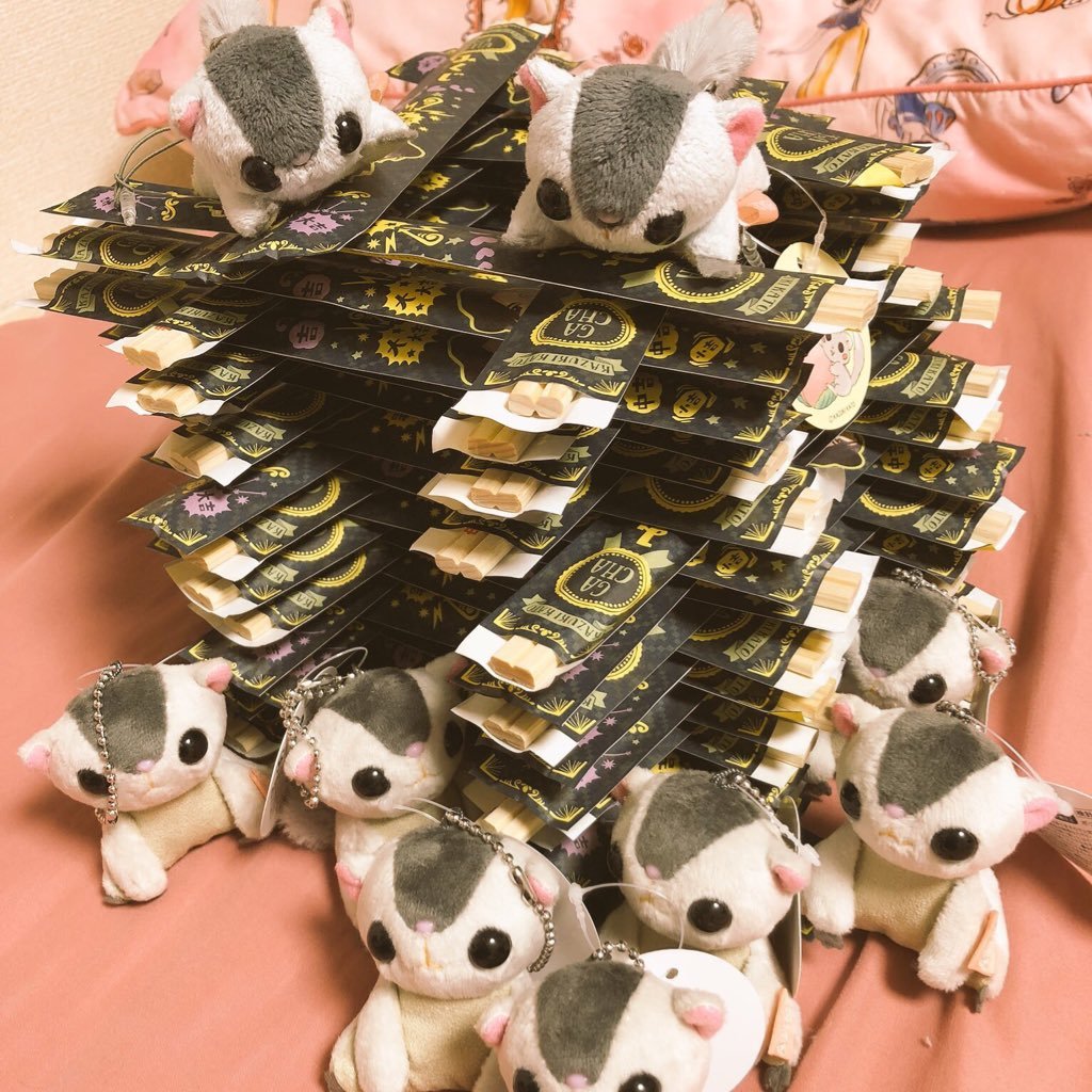 メス猫さんのプロフィール画像