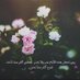 RS🌹🌹 (@8c04c3e918fd4fa) Twitter profile photo RS🌹🌹 (@8c04c3e918fd4fa) Twitter profile photo