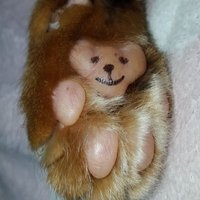 あづぽんぬ (@a_sya1215) Twitter profile photo