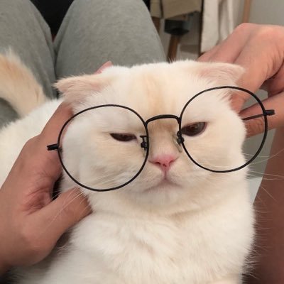 xshoob's profile picture. ⁽⁽ଘ( ˊᵕˋ )ଓ⁾⁾ cat enthusiast
