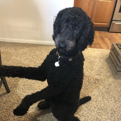 travelnerd0202's profile picture. 