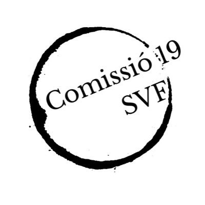 2019Svf's profile picture. 