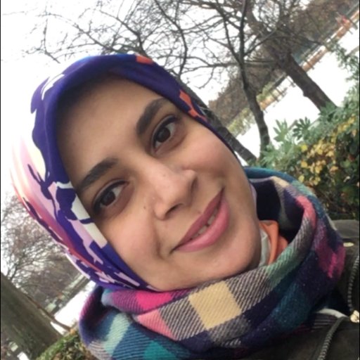 🇪🇬 Assistant Professor @alexu_edu_eg, @imperialcollege Alumnus, PhD in Clean Energy Processes, Chem Eng.