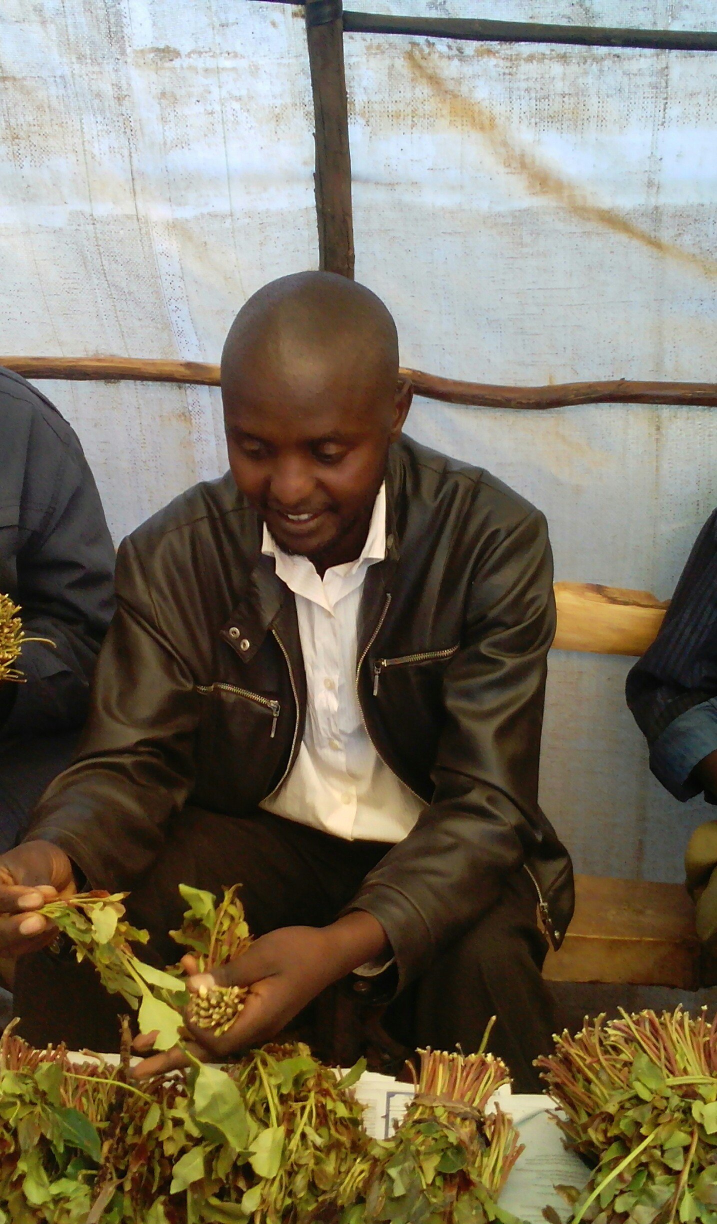 KenKMugo1's profile picture. 