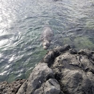 yankees1093's profile picture. 