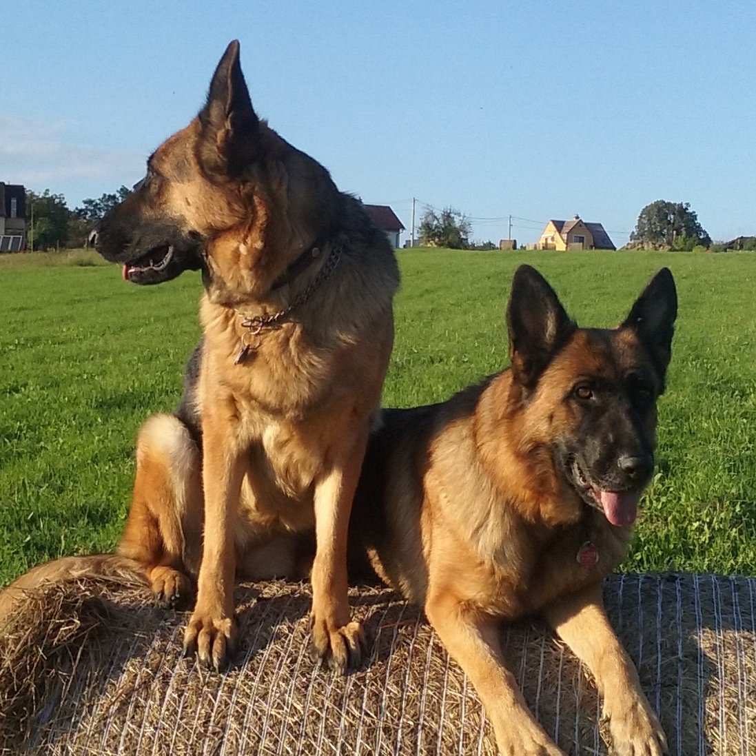 zdenek_kusala's profile picture. 