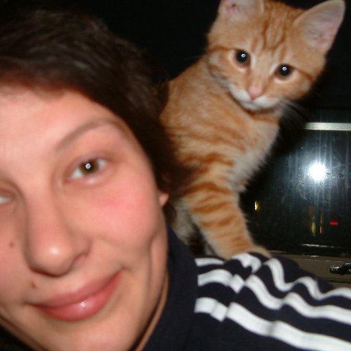 Grobbenbolletje's profile picture. Languagineer, to ordinary earthlings organic google translate. Love cats. Only reason to have boxes is for them to shit in. Ambition to create most useless bio.