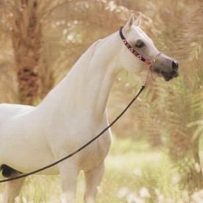 aloOord511's profile picture. 🎼🎼🎼🎼🎼🎼🎼🎼🎼🎼🎼🎼🎼🎼🎼🎼🎼🎼🎼🎼🎼🎼🎼🎼🎼🎼🎼🎼🎼🎼🎼🎼🎼🎼🎼🎼🎼🎼🎼🎼🎼🎼🎼🎼🎼🎼🎼🎼🎼🎼🎼🎼🎼🎼🎼🎼🎼🎼🎼🎼🎼🎼🎼🎼🎼🎼🎼🎼🎼🎼🎼🎼🎼🎼🎼🎼🎼🎼🎼🎼