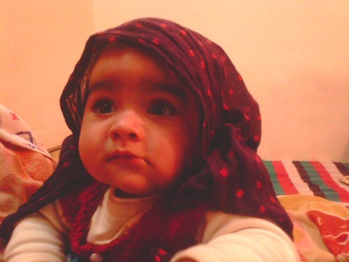 rohitchd's profile picture. 