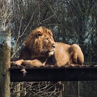 IamwhoIam 🇬🇷🇬🇧🇪🇺 🇸🇱 (@goddess1345) 's Twitter Profile Photo IamwhoIam 🇬🇷🇬🇧🇪🇺 🇸🇱 (@goddess1345) 's Twitter Profile Photo