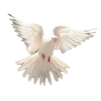 AGSpringhill's profile picture. A friendly group of folks who have a mission to support missions and help and love others.