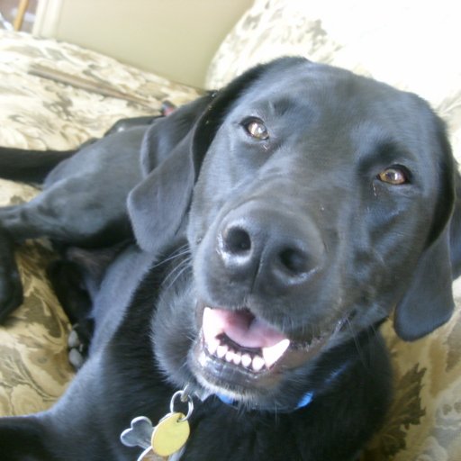 annamarie57's profile picture. 