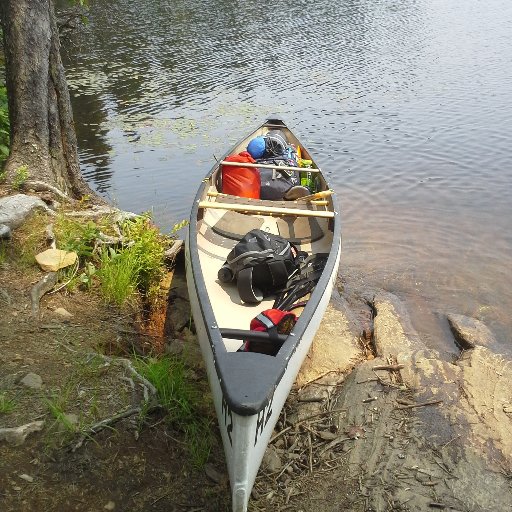 suzmacdonald1's profile picture. 