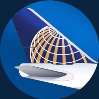 Infinite flight United Airlines Official Twitter