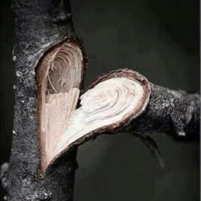 MaTh50685281's profile picture. 