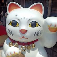 yui*** (@yutrip_aqua) 's Twitter Profile