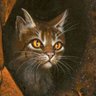 TigerSTARRRR's profile picture. Former leader of Shadowclan. He/Him (tom)
Likes: long walks in the Dark Forest, appearing in dreams for plot purposes, haunting children, red wine.