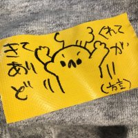 ミドリ色の人 (@n_s_try) 's Twitter Profile