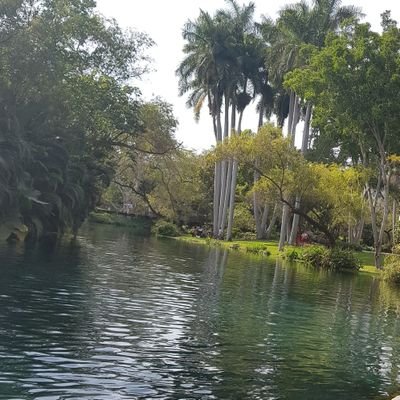 adriandgzg's profile picture. :)