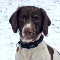 PD George(@PD__George) 's Twitter Profile Photo