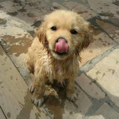 AnanthKannappan's profile picture. 