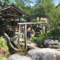 ラード (@lardmeen) Twitter profile photo