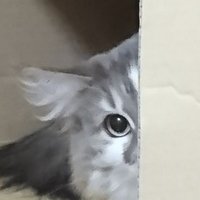 マ・クベ大佐 (@makubetaisa) 's Twitter Profile