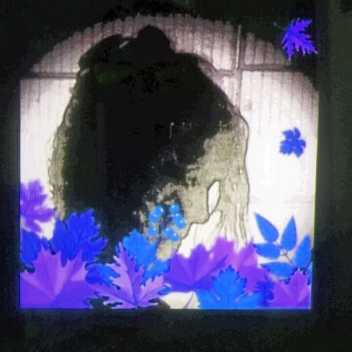 Lou_SQ's profile picture. Live and Let Live...
Buscad la belleza...