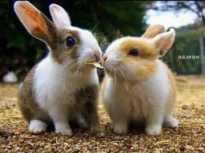 KPelthaje's profile picture. 