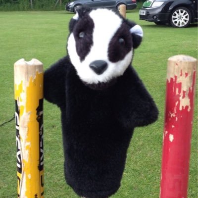 Norfolk Cricket Badger