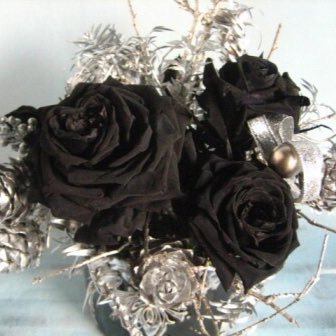 Kito15305739's profile picture. 