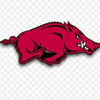 🐗hogslife🐗 (@mikemoo71057886) 's Twitter Profile