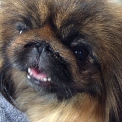 Cherylpek's profile picture. 