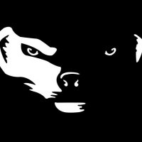 Honey Badger (@f3honeybadger) 's Twitter Profile Photo Honey Badger (@f3honeybadger) 's Twitter Profile Photo