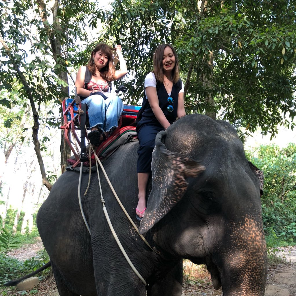 chsp_s's profile picture. 