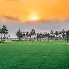 walislg's profile picture. Common Man of Great India.