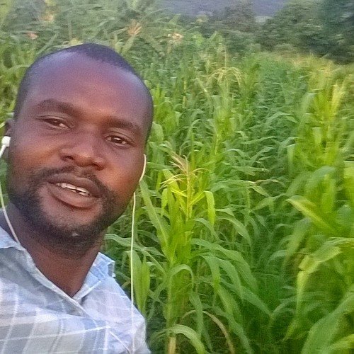 #Since 2015 #Farmpreneur #Corn #Pepper #Plantain #Animals4Food #Internet. #📞+233249714721  https://t.co/hVBETfLLe7...