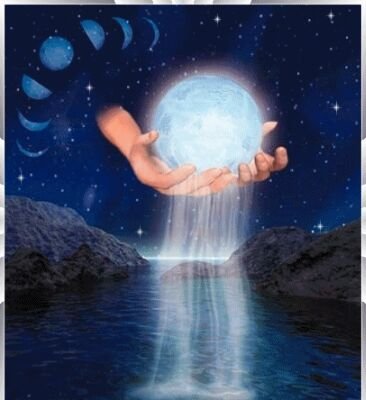 Moh57157302's profile picture. 