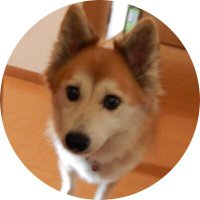 いなぎ (@inagi_j2b) 's Twitter Profile