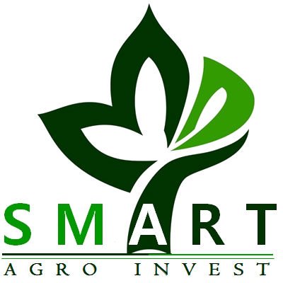 Smart Agro Invest LLC one of the steadily working and dynamically developing on the grain market of Ukraine.
