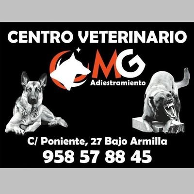 centro veterinario MG , disponemos de productos para las mascotas ,peluquería canina y material de adiestramiento así como varios veterinarios.