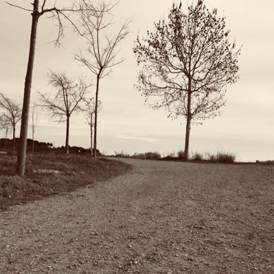 Julianloga67's profile picture. 