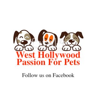 #WestHollywood Passion for Pets. Mobilizing to help pets: lost, found, homeless, foster & dangers. #Dogs #Cats #WeHo #AdoptDontShop @StarlaWeHo ☆@LAPassion4Pets