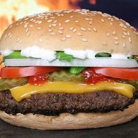 Bezorgde Burger(@BezorgdBurger) 's Twitter Profile Photo
