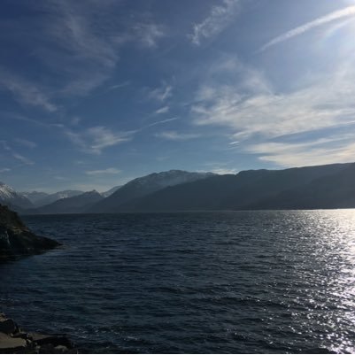 1000’s of Scottish Holiday Rentals Cottages Villas Log Cabins suiting all budgets Seaside Countryside Hot Tubs Jacuzzis Saunas Fishing