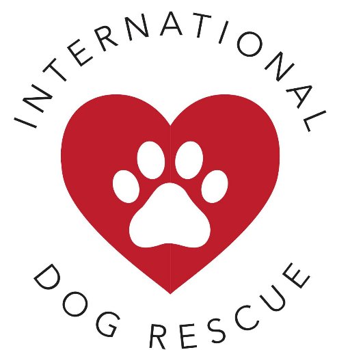International Dog Rescue was set up after a visit to Romania in 2011. We raise funds to bring dogs and cats to the UK to find homes.
