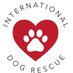 International Dog Rescue (@interdogrescue) Twitter profile photo